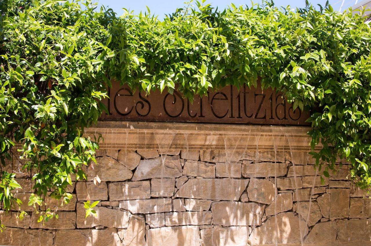 The Originals Boutique, Hotel Les Strelitzias Juan-les-Pins Buitenkant foto